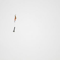 2013 Suche 29062013 Michal